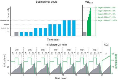 The Dynamics of the Anaerobic Energy Contribution During a Simulated Mass-Start Competition While Roller-Ski Skating on a Treadmill